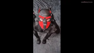 Preview at 00:15