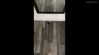 Preview at 00:02