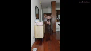 Preview at 00:05