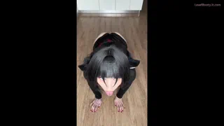 Preview at 00:02