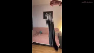 Preview at 00:03