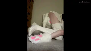 Kitty wants to play, what do you say? >