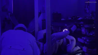 Preview at 00:33