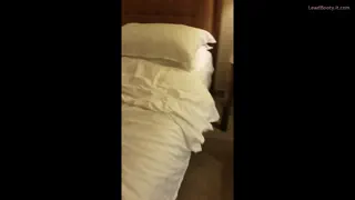 Preview at 00:46