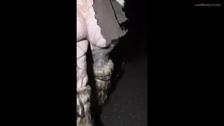 Preview at 00:09