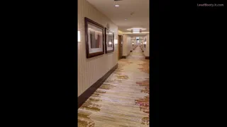 Preview at 00:01