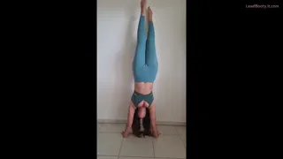 Handstand curves